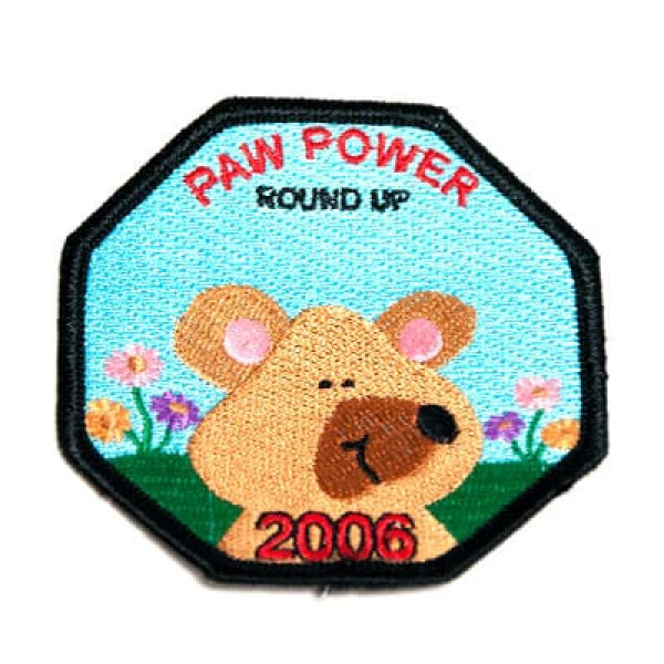 scout patch